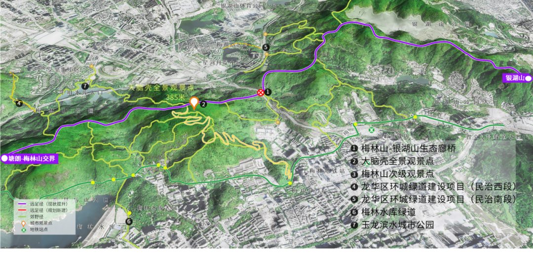 共同城市·共生家园 ——山海连城鲲鹏径一号桥迎来野生豹猫穿行 共同城市·共生家园 ——山海连城鲲鹏径一号桥迎来野生豹猫穿行