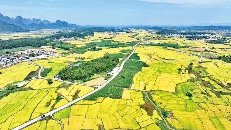 中央农办负责人解读2024年中央一号文件 中央农办负责人解读2024年中央一号文件