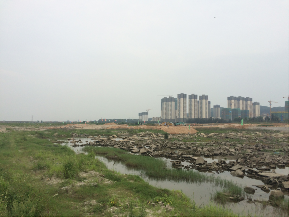 展笔：跨岛战略——人海和谐的“厦门实践”调查（二）