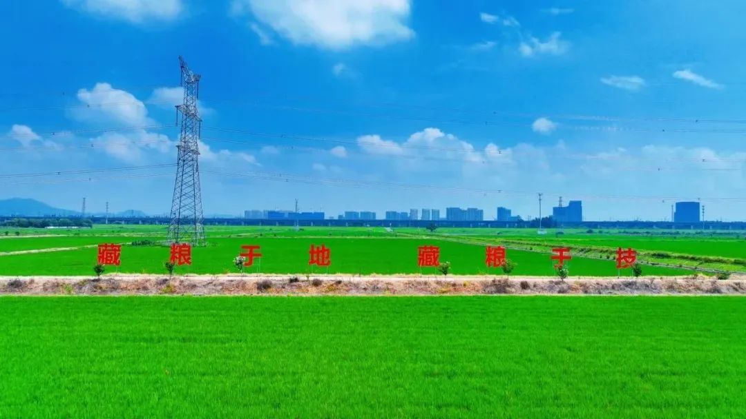 省、市媒体聚焦我市耕地用途管制工作
