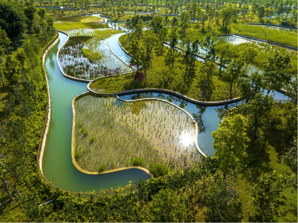 展笔：跨岛战略——人海和谐的“厦门实践”调查（二）