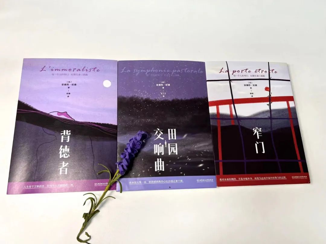 余华惊叹、加缪痴迷：这书被禁多年，看得我浑身发抖