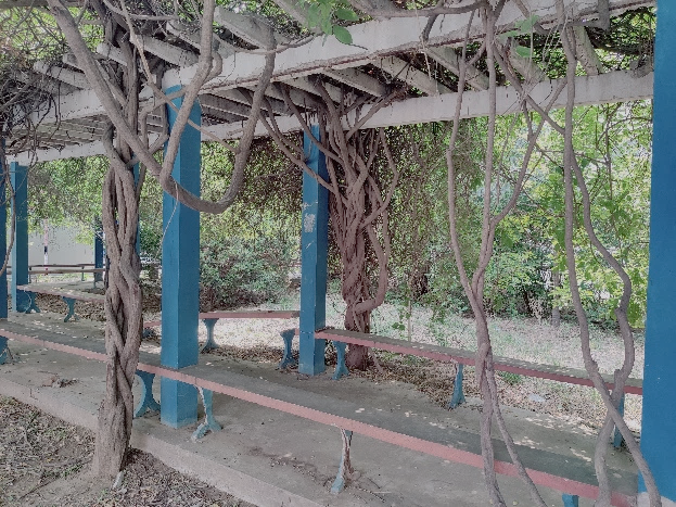 北京城市副中心责任双师制度体系构建与探索 | 2023北京市推荐优秀城乡规划奖 北京城市副中心责任双师制度体系构建与探索 | 2023北京市推荐优秀城乡规划奖