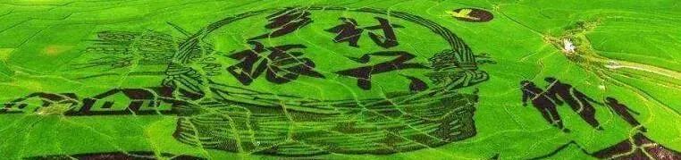要闻 | 国新办举行学习运用“千村示范、万村整治”工程经验,有力有效推进乡村全面振兴新闻发布会 要闻 | 国新办举行学习运用“千村示范、万村整治”工程经验,有力有效推进乡村全面振兴新闻发布会