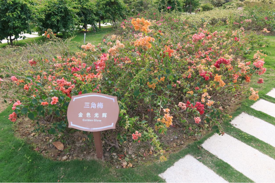 展笔：跨岛战略——人海和谐的“厦门实践”调查（二）