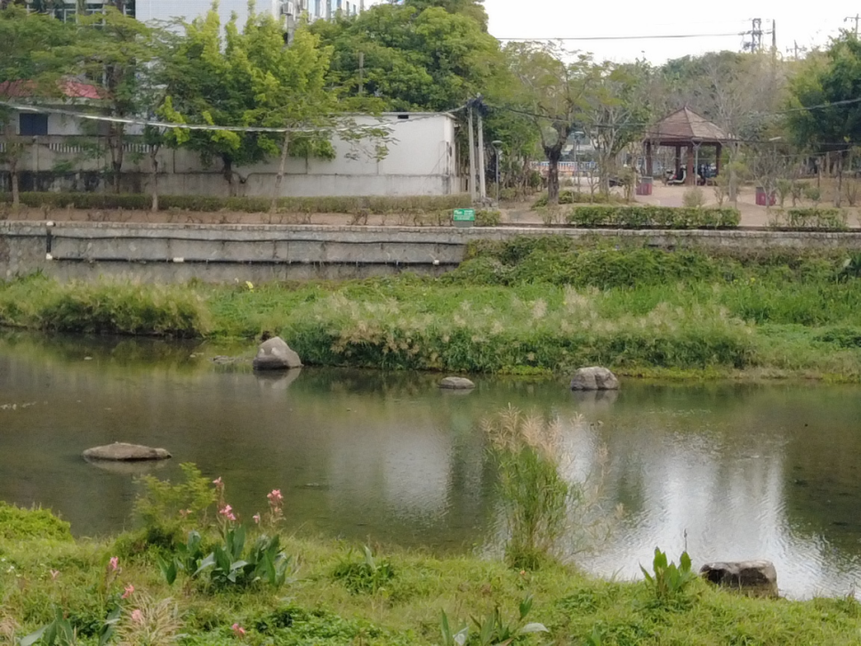 跃笔：山海新经——人海和谐的“厦门实践”调查（三）