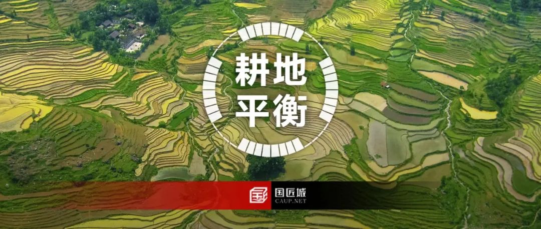 专题总结:耕地占补平衡——国家政策及地方政策,耕地占补平衡专项整治方案及指标使用管理 专题总结:耕地占补平衡——国家政策及地方政策,耕地占补平衡专项整治方案及指标使用管理