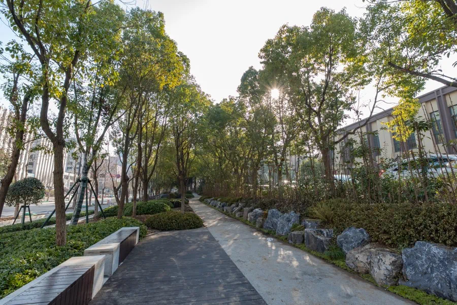 慢行系统,南京这么建! 慢行系统,南京这么建!