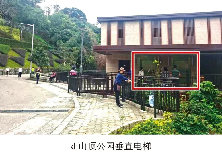 金伟∣澳门“窄马路、密路网”规划建设启示