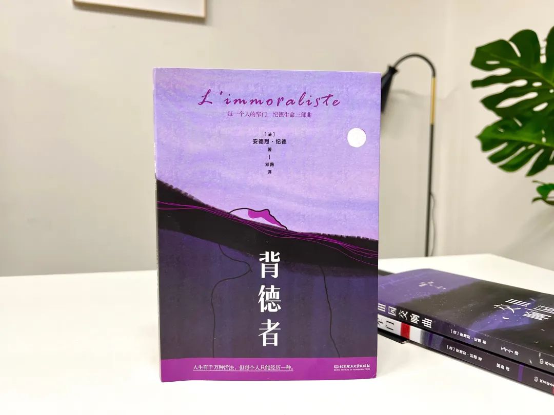 余华惊叹、加缪痴迷：这书被禁多年，看得我浑身发抖