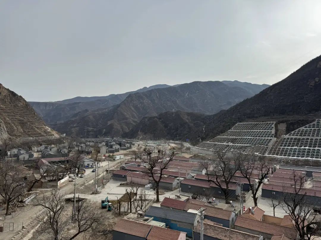 千门万户皆春声 | 新春走基层