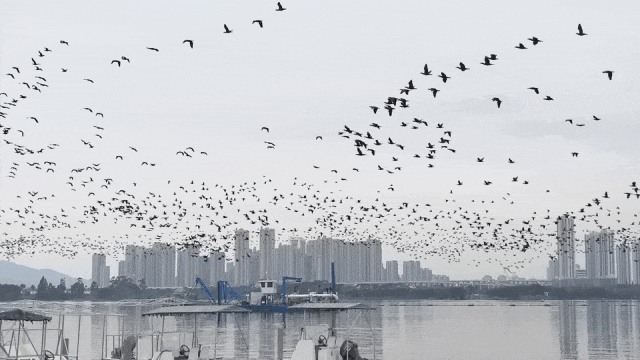 运笔：厦门方法——人海和谐的“厦门实践”调查（四）