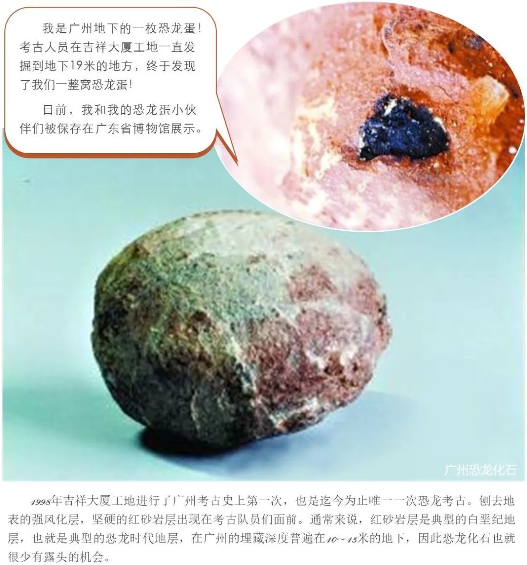 广规好书|人居环境景观院:《藏在地质里的广州》 广规好书|人居环境景观院:《藏在地质里的广州》