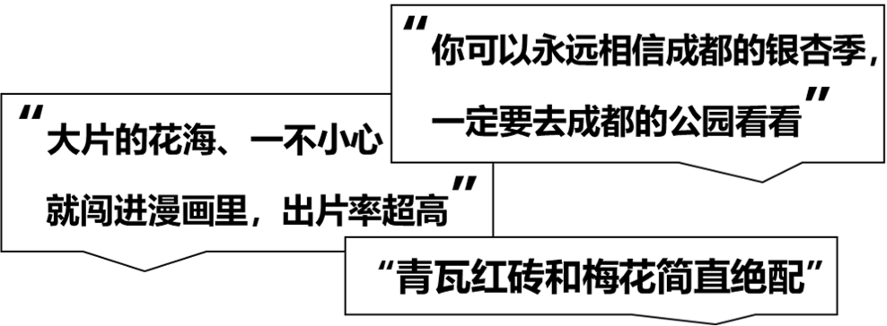 一份有温度的大数据报告!成都人“耍公园”的打开方式丨城市数据派 一份有温度的大数据报告!成都人“耍公园”的打开方式丨城市数据派