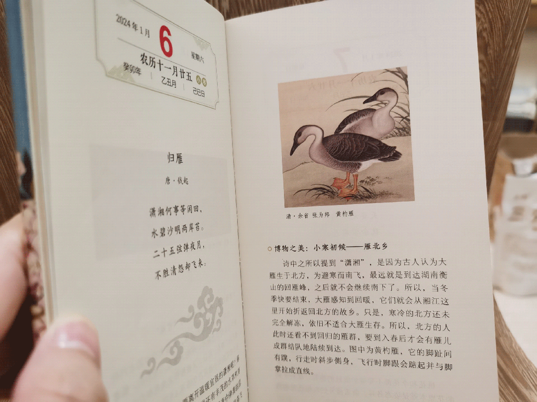 一本中国人才看得懂的日历:一诗一画一风物,柴米油盐藏诗意 一本中国人才看得懂的日历:一诗一画一风物,柴米油盐藏诗意