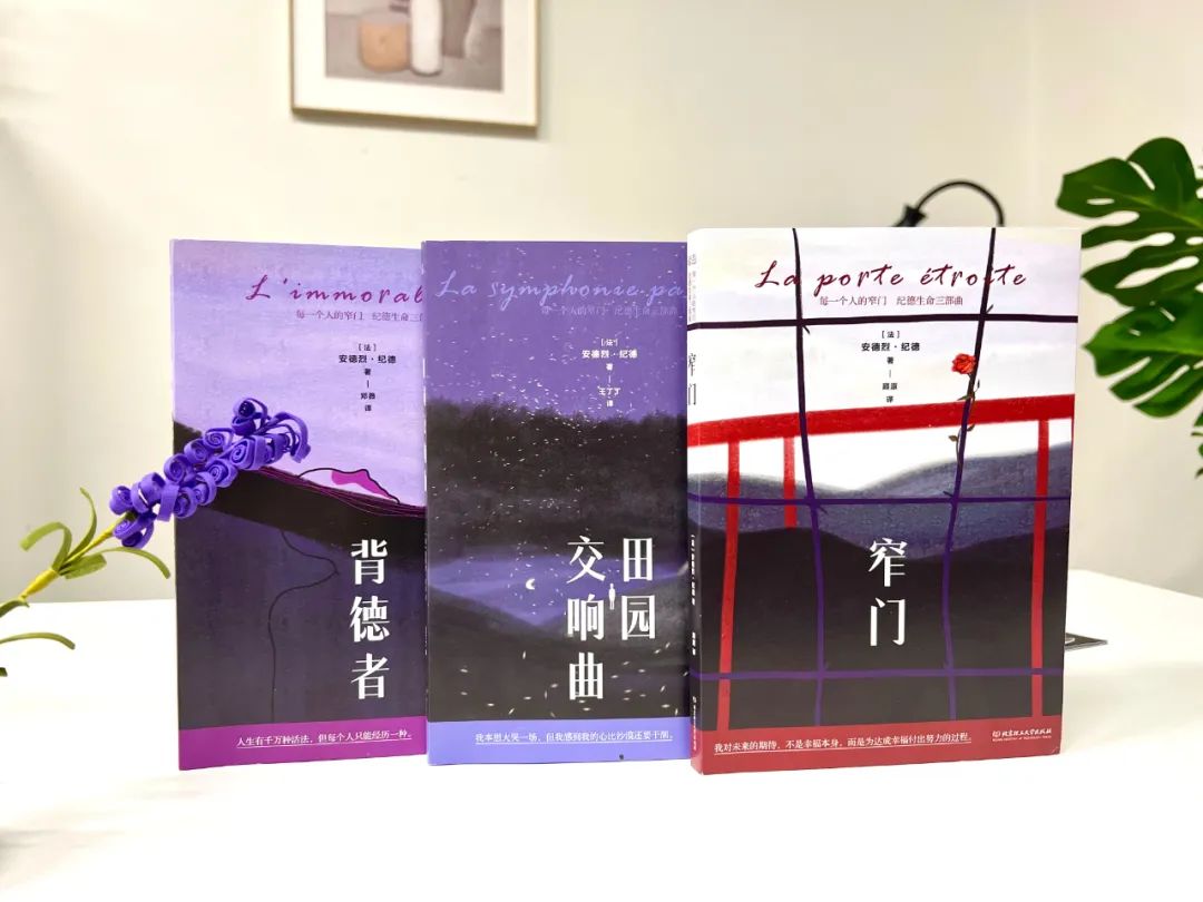 余华惊叹、加缪痴迷：这书被禁多年，看得我浑身发抖