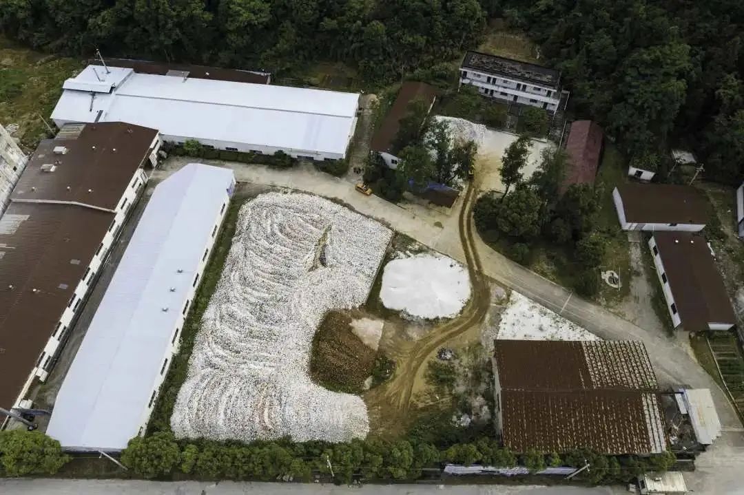 科普 | 景德镇的废瓷去哪儿了——看不见的城市 科普 | 景德镇的废瓷去哪儿了——看不见的城市