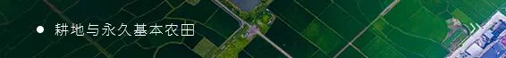 海南土地超市入选全国自贸试验区“最佳实践案例”