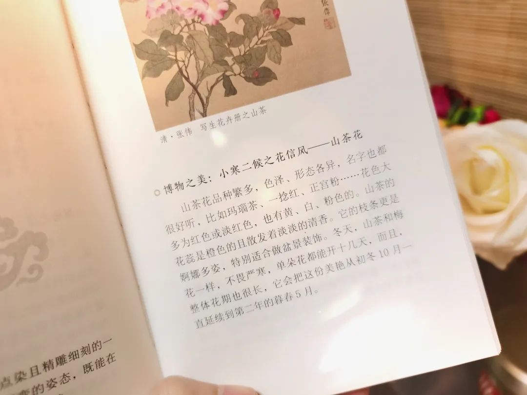 一本中国人才看得懂的日历:一诗一画一风物,柴米油盐藏诗意 一本中国人才看得懂的日历:一诗一画一风物,柴米油盐藏诗意