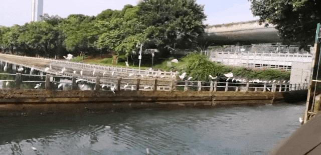 起笔:筼筜故事——人海和谐的“厦门实践”调查(一) 起笔:筼筜故事——人海和谐的“厦门实践”调查(一)