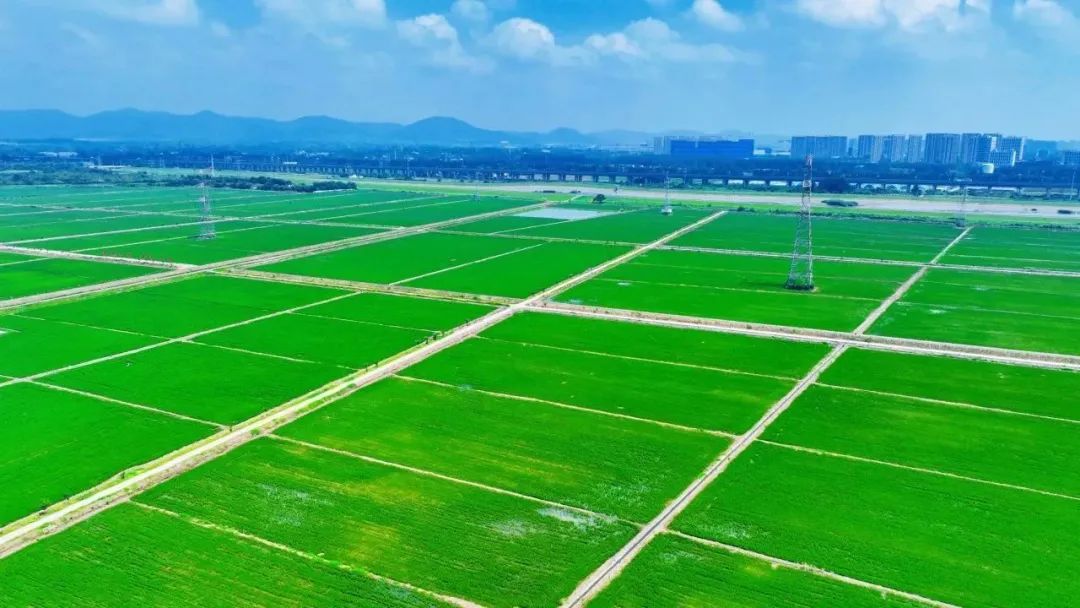 省、市媒体聚焦我市耕地用途管制工作