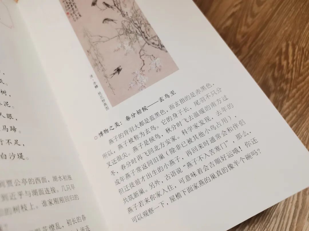 一本中国人才看得懂的日历:一诗一画一风物,柴米油盐藏诗意 一本中国人才看得懂的日历:一诗一画一风物,柴米油盐藏诗意
