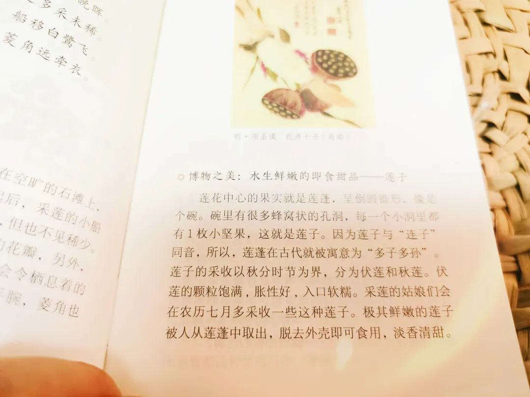 一本中国人才看得懂的日历:一诗一画一风物,柴米油盐藏诗意 一本中国人才看得懂的日历:一诗一画一风物,柴米油盐藏诗意