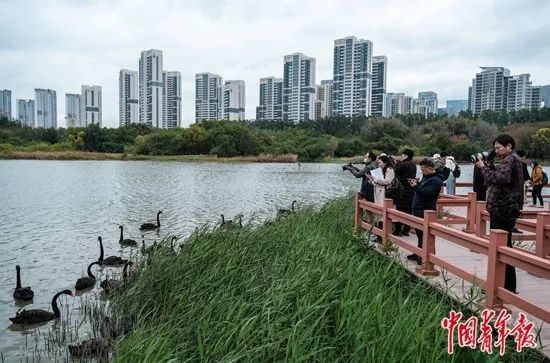 中国青年报：厦门面朝大海的代际接力