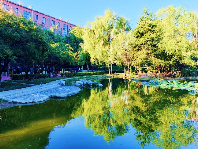 北京城市副中心责任双师制度体系构建与探索 | 2023北京市推荐优秀城乡规划奖 北京城市副中心责任双师制度体系构建与探索 | 2023北京市推荐优秀城乡规划奖