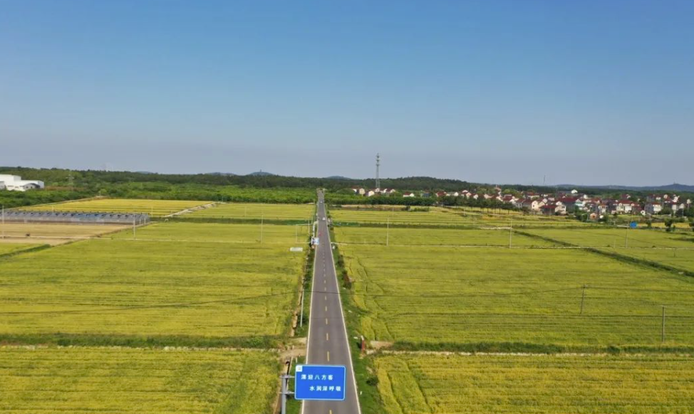 省、市媒体聚焦我市耕地用途管制工作 省、市媒体聚焦我市耕地用途管制工作