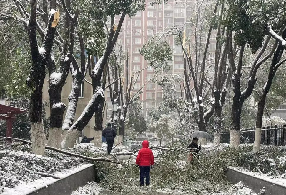 科普 | 冻雨是什么?遇到冻雨怎么办? 科普 | 冻雨是什么?遇到冻雨怎么办?