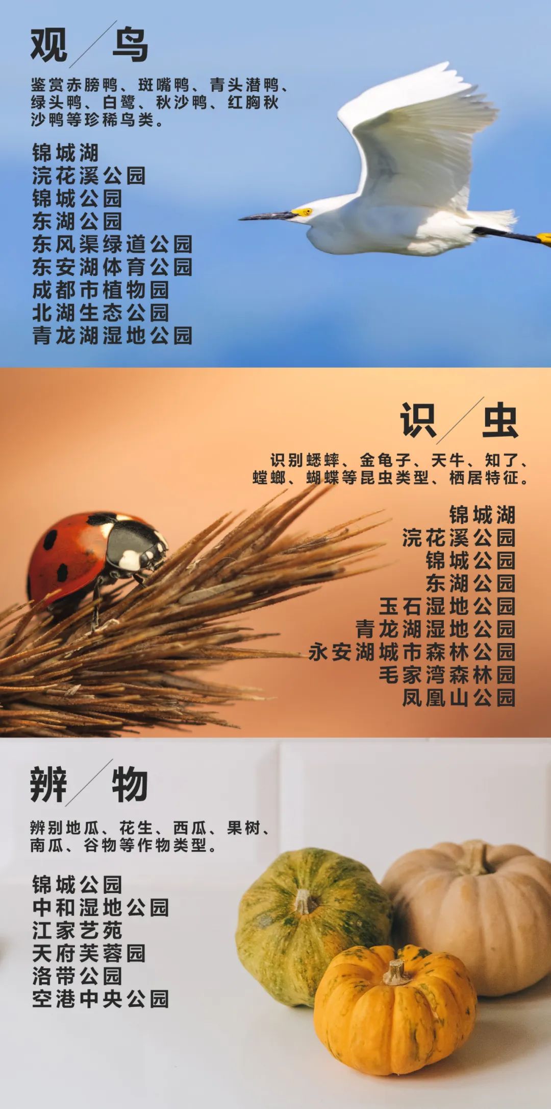 一份有温度的大数据报告!成都人“耍公园”的打开方式丨城市数据派 一份有温度的大数据报告!成都人“耍公园”的打开方式丨城市数据派
