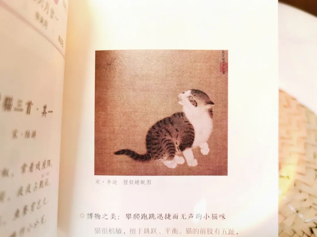 一本中国人才看得懂的日历：一诗一画一风物，柴米油盐藏诗意