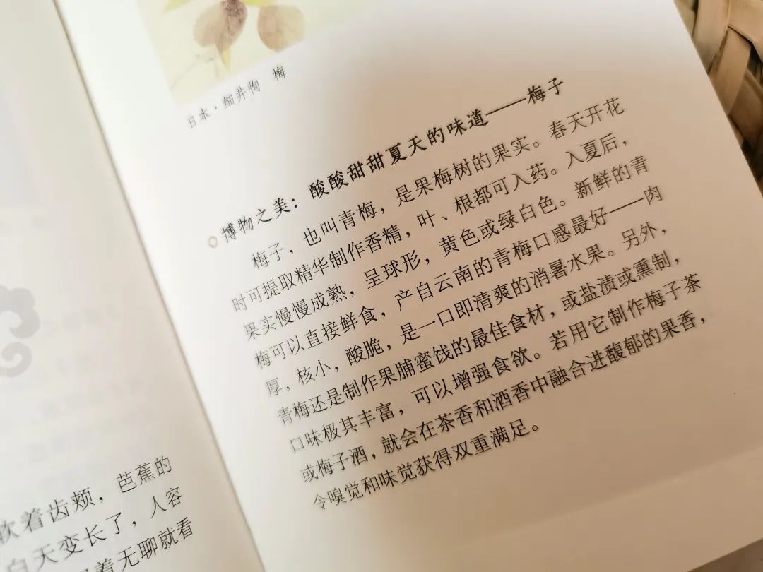 一本中国人才看得懂的日历:一诗一画一风物,柴米油盐藏诗意 一本中国人才看得懂的日历:一诗一画一风物,柴米油盐藏诗意