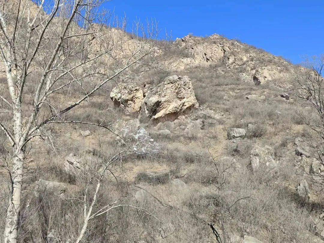 千门万户皆春声 | 新春走基层