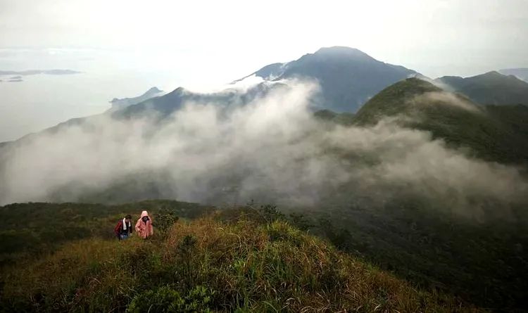 南兆旭:深圳有条鲲鹏径 南兆旭:深圳有条鲲鹏径