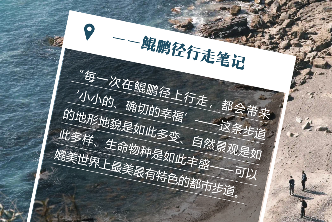 南兆旭：深圳有条鲲鹏径