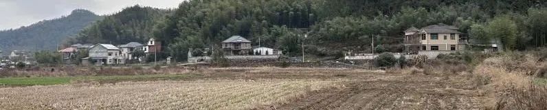 春节征集丨赵栗羽:美丽中国里的规划故事——父亲的芙蓉树 春节征集丨赵栗羽:美丽中国里的规划故事——父亲的芙蓉树