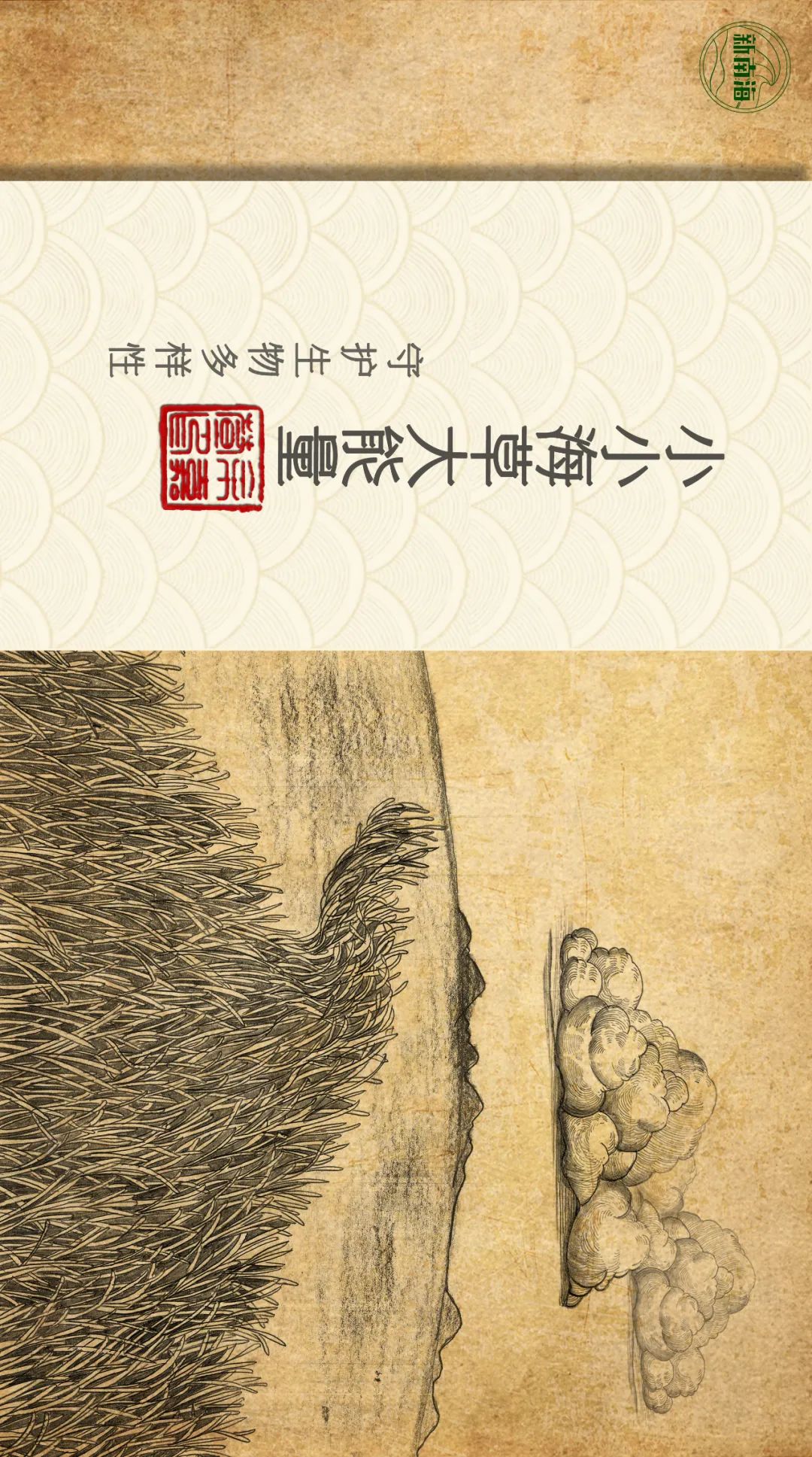 世界海草日 | 守护生物多样性之小小海草大能量 世界海草日 | 守护生物多样性之小小海草大能量