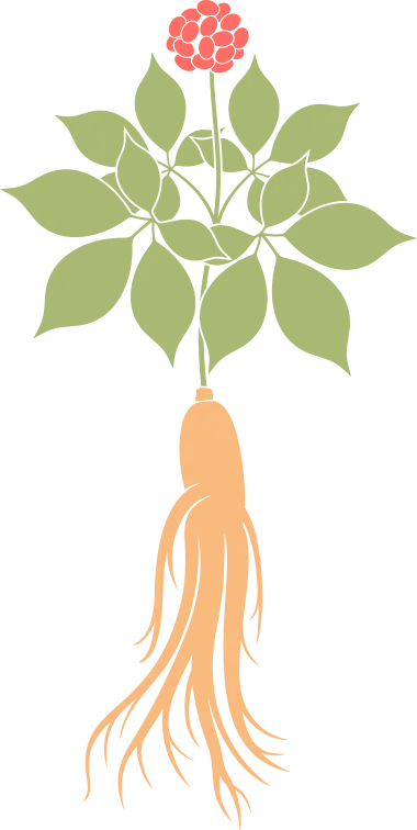 春节征集|何思黔:灯火里的家乡 春节征集|何思黔:灯火里的家乡