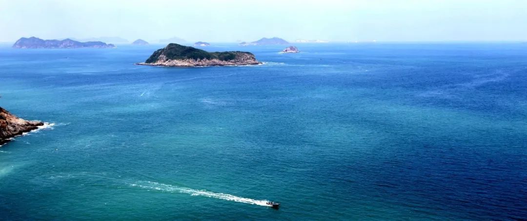 南兆旭:深圳有条鲲鹏径 南兆旭:深圳有条鲲鹏径