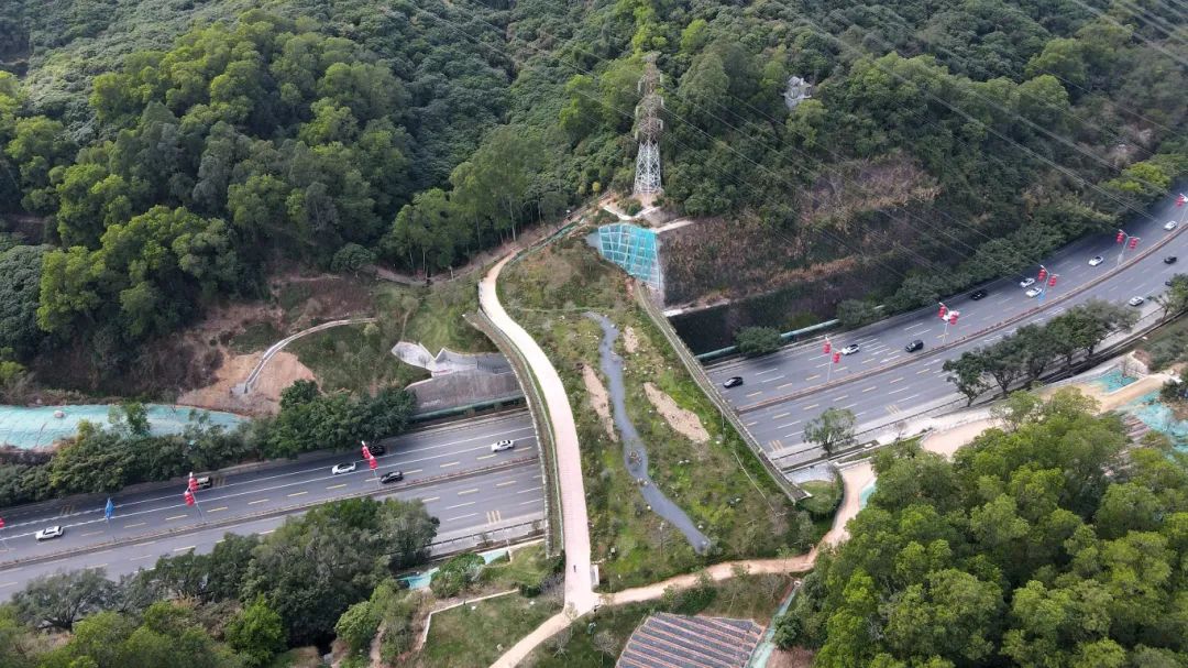 南兆旭：深圳有条鲲鹏径