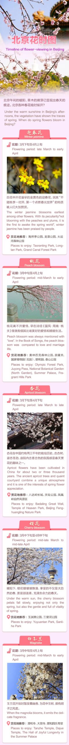 京城周末丨一图看懂北京花时 京城周末丨一图看懂北京花时