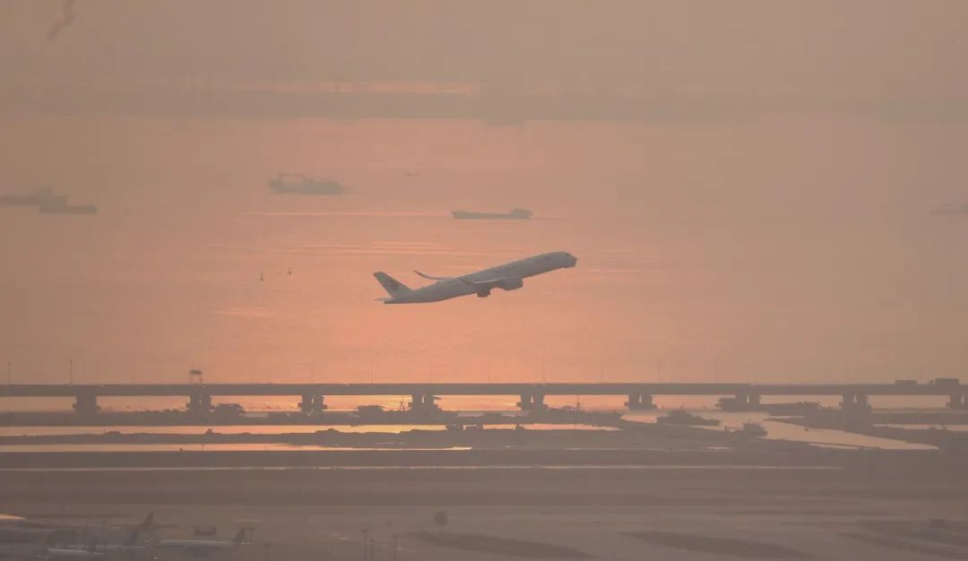 南兆旭：深圳有条鲲鹏径