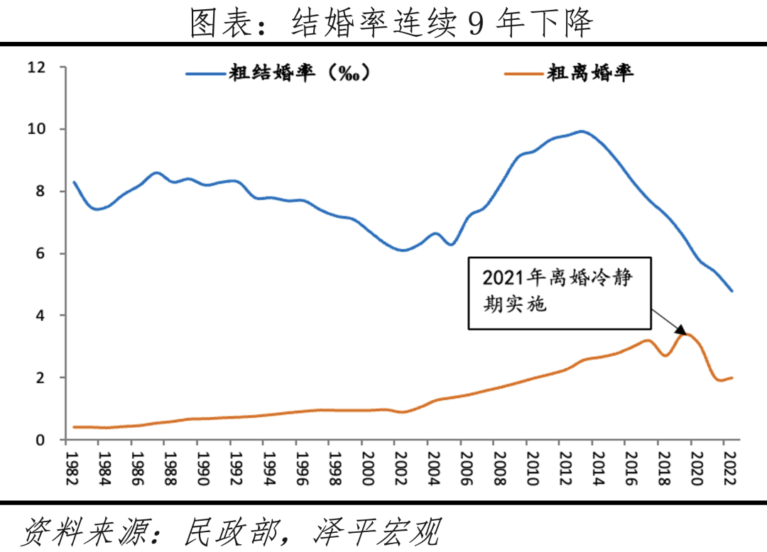 中国生育报告2024