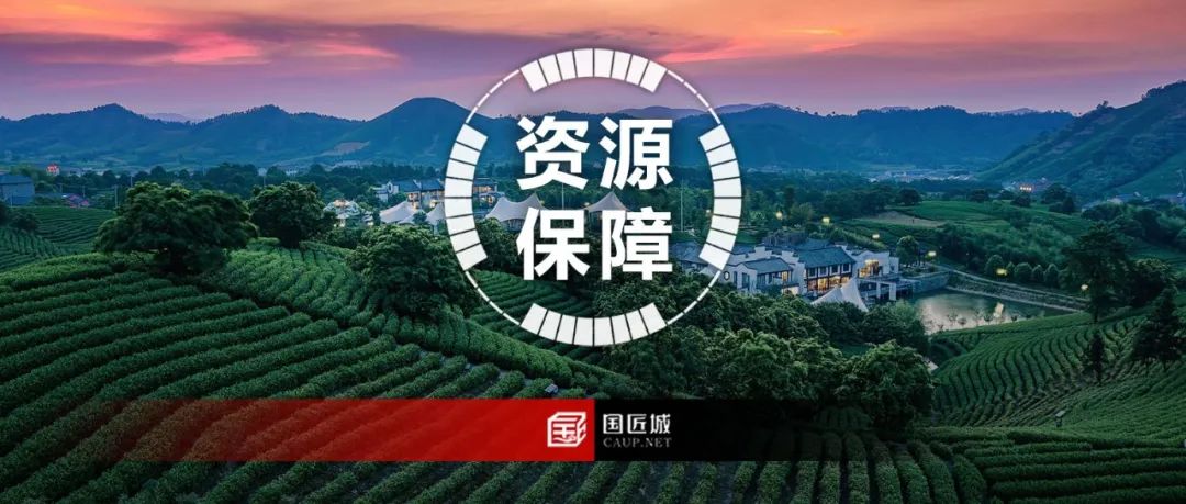 重大项目用地用海如何保障?浙江省自然资源厅官方解答 重大项目用地用海如何保障?浙江省自然资源厅官方解答