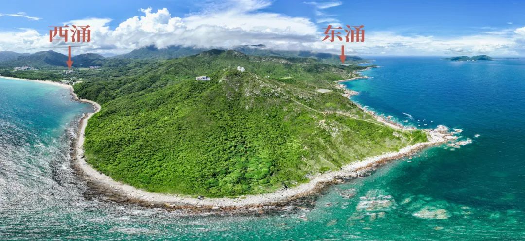 南兆旭：深圳有条鲲鹏径