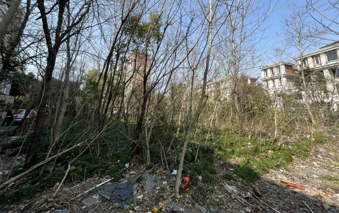广规匠红|党建引领缔造“健康社区疗愈花园”,上海分院党支部这么做 广规匠红|党建引领缔造“健康社区疗愈花园”,上海分院党支部这么做