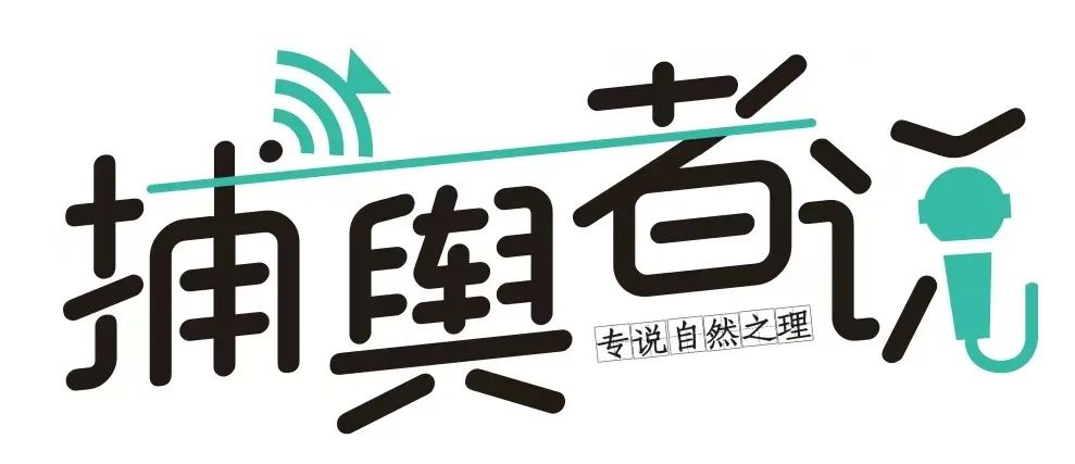 Sora横空出世,给数字化治理带来哪些想象? Sora横空出世,给数字化治理带来哪些想象?