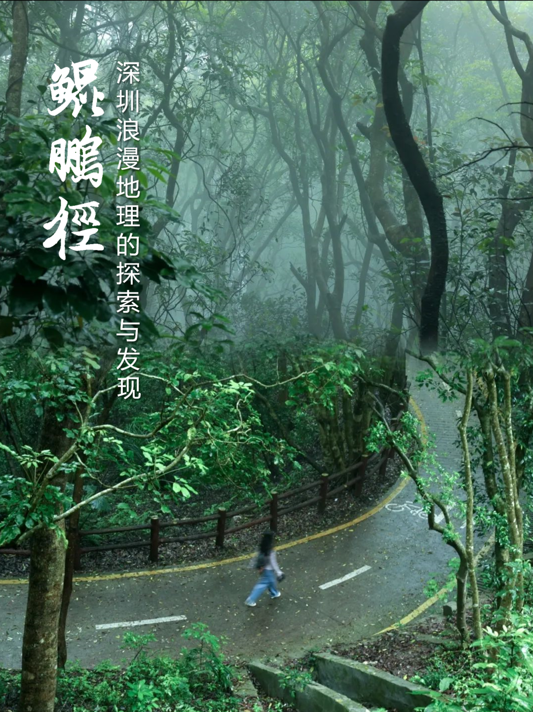 南兆旭:深圳有条鲲鹏径 南兆旭:深圳有条鲲鹏径